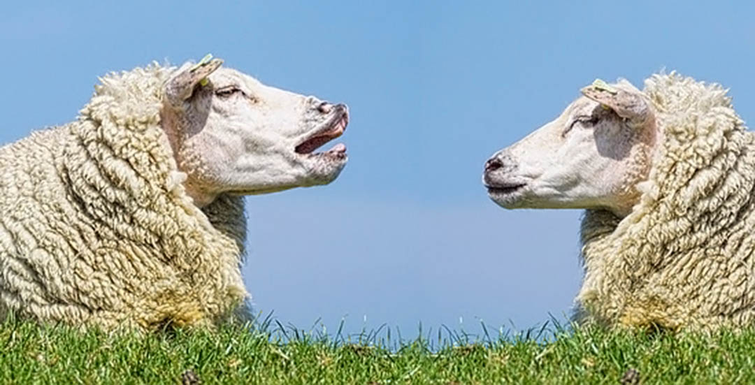 Fool’s Talk – Hoofstuk 1-3