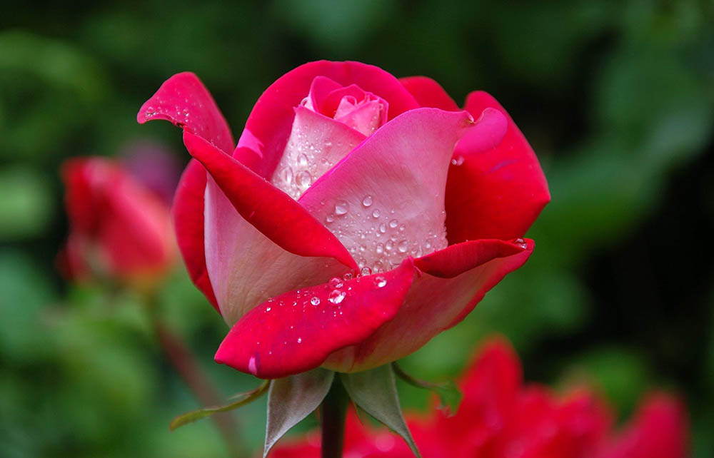 Sal ’n mens nog glo?