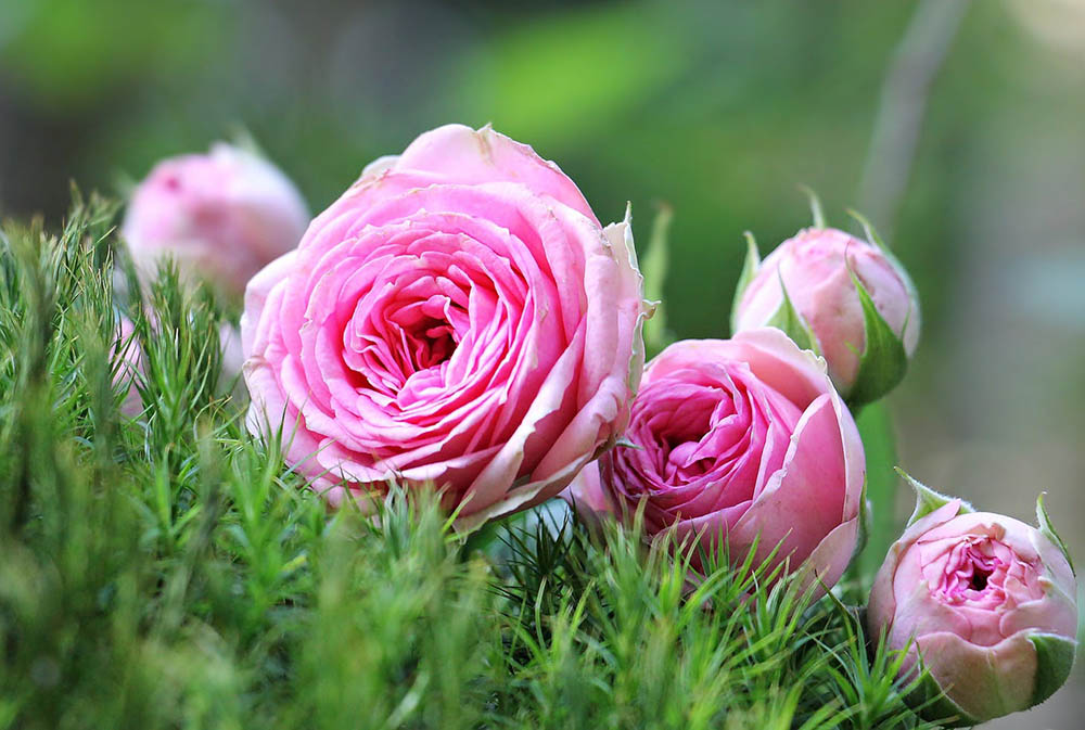 Afgerond en opgebind