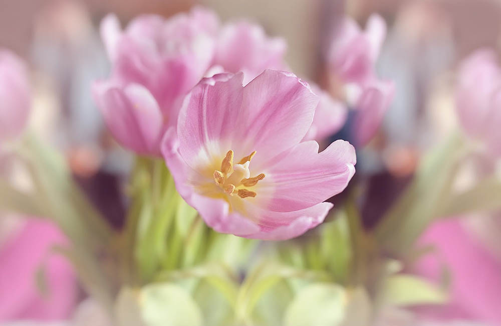 Het jy My waarlik lief?